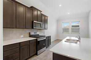 11136 Gold Pan Trail - Photo 12