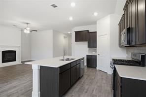 11136 Gold Pan Trail - Photo 13