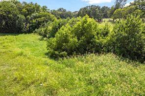 Westside W Tx-121 Highway - Photo 13