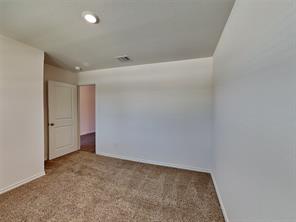 2909 Menguita Street - Photo 12