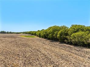 TBD +/- 12 Acres T M West Parkway - Photo 3