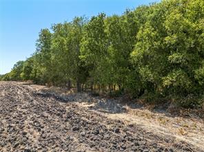 TBD +/- 12 Acres T M West Parkway - Photo 4