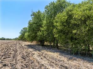 TBD +/- 12 Acres T M West Parkway - Photo 5
