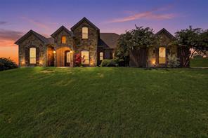 12409 Bella Vino Drive - Photo 1
