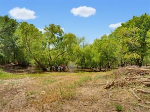487 County Road 2514 - Photo 19