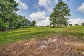 TBD PR 52320 - Photo 10