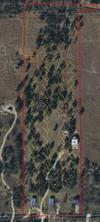 4126 County Road 4111 - Photo 4