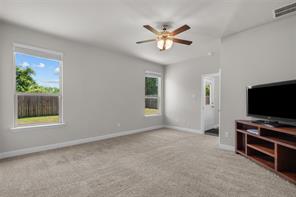 1201 Presidio Lane - Photo 19