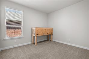 1201 Presidio Lane - Photo 27