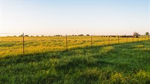 4557 County Road 331 - Photo 5