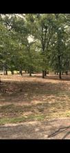 132 Colonial Drive - Photo 10