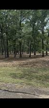 132 Colonial Drive - Photo 11