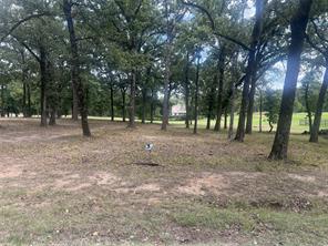 132 Colonial Drive - Photo 5