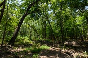 4480 Fm 2137 N - Photo 38