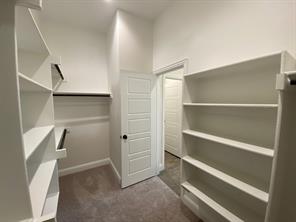 10305 Linseed Drive - Photo 9