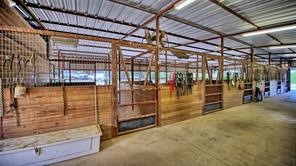 4509 Lazy E Road - Photo 14