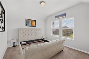 6725 Aster Drive - Photo 28