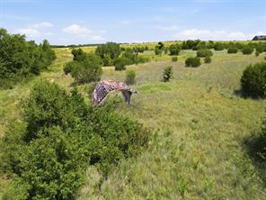 625 Hollow Drive - Photo 12