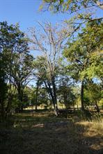 1714 Doc Holiday - Photo 11