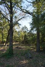 1714 Doc Holiday - Photo 14