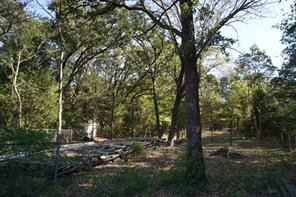 1714 Doc Holiday - Photo 4
