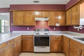 301 Vinyard Drive - Photo 12