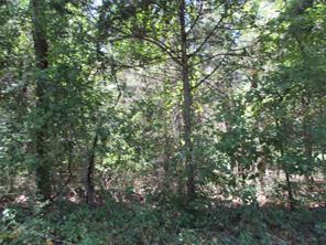 517 Rains County Road 1275 - Photo 1