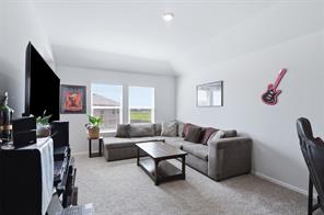 224 Running River Drive - Photo 29