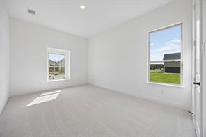 8908 Amistad Lane - Photo 22