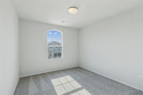 3010 Isla Terrace - Photo 19