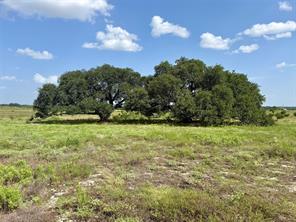 13AC TBD PR FM 2905 - Photo 1