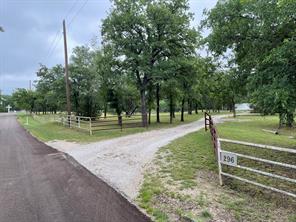 296 E Bluff Springs Road - Photo 1