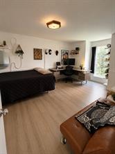 2228 San Simeon - Photo 10
