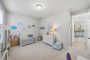 2229 Plumeria Lane - Photo 23