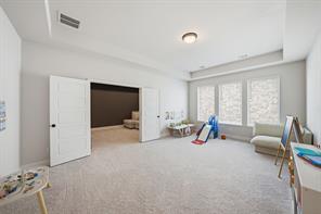 2229 Plumeria Lane - Photo 28