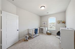 2229 Plumeria Lane - Photo 32