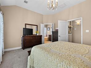 1005 Hubbard Creek Trail - Photo 13