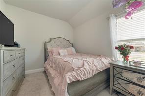 136 Aucuba Lane - Photo 29