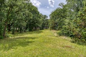 1000 Cool Ranch Lane - Photo 29