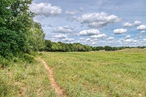 1000 Cool Ranch Lane - Photo 33