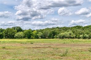 1000 Cool Ranch Lane - Photo 35