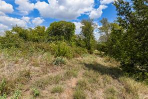 1000 Eagle Ridge Drive - Photo 11