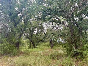 405 County Road 102 - Photo 4