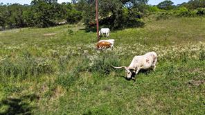 156 PR 3626 - Photo 32