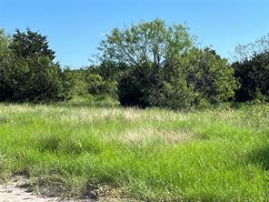 3588 N US Highway 281 - Photo 2