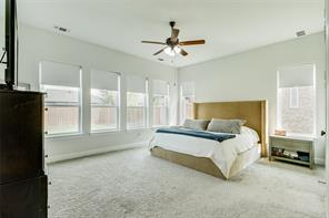 129 Mint Marigold Drive - Photo 17