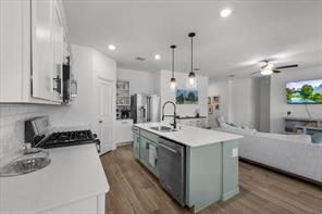 2520 Goodrich Road - Photo 19