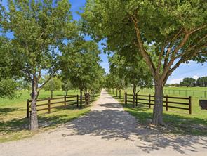 1521 County Road 1107B - Photo 1