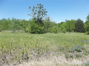 3 Acres S Hwy 287 - Photo 1