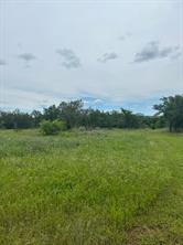 TBD Round Up Court - Photo 13